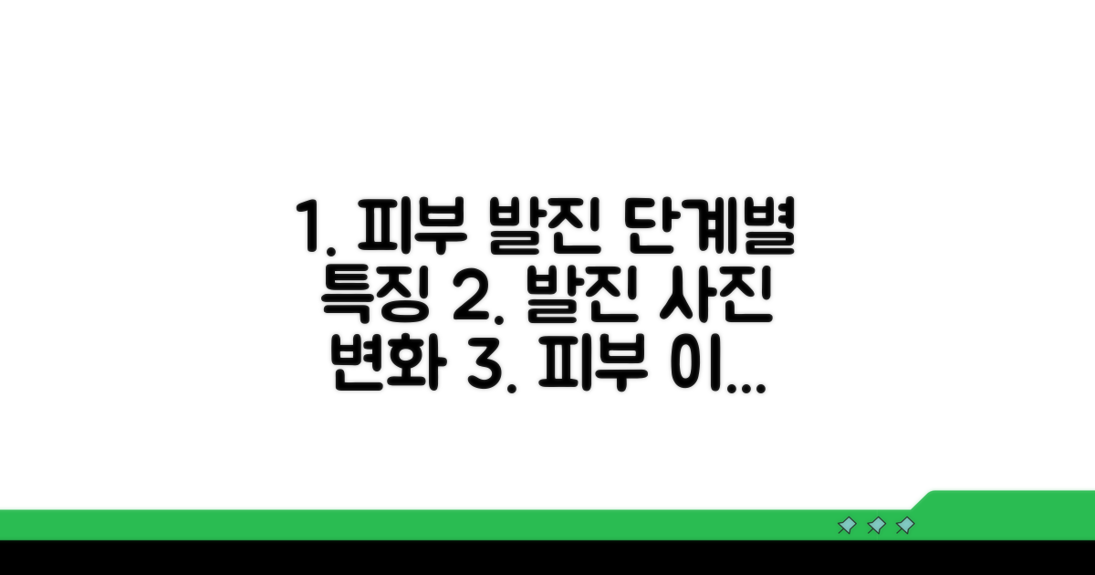 피부 발진 사진 및 단계별 특징