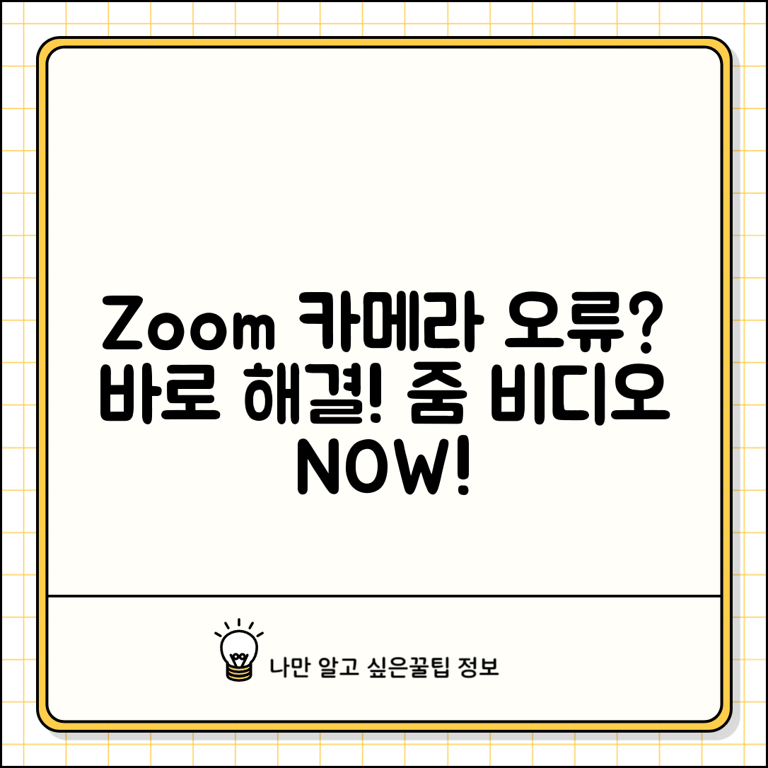 Zoom 카메라 작동 안함 해결 | 줌 비디오 오류 카메라