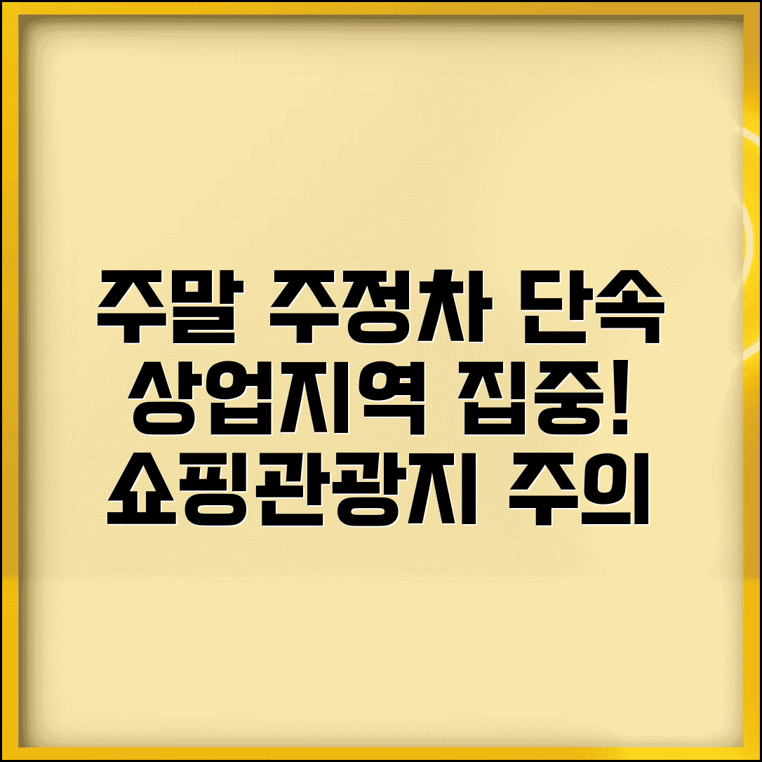 주말 주정차단속시간 상업지역 | 주말 쇼핑가와 관광지 주정차 단속 강화 시간대