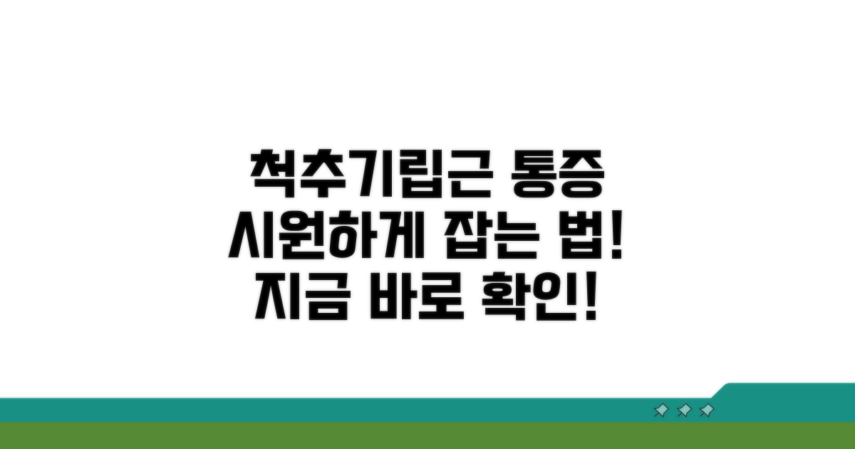 척추기립근 통증 해결 방법
