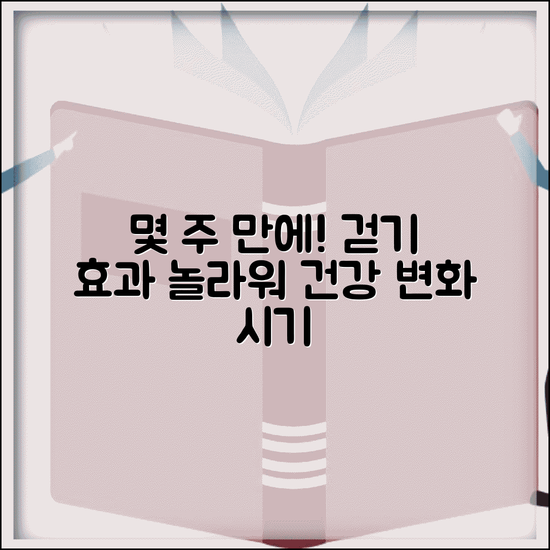 걷기 운동 효과 몇 주 후 나타나는지 | 걷기 운동 건강 효과 시기