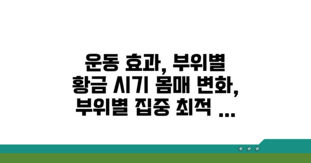 운동 효과, 신체 부위별 시기