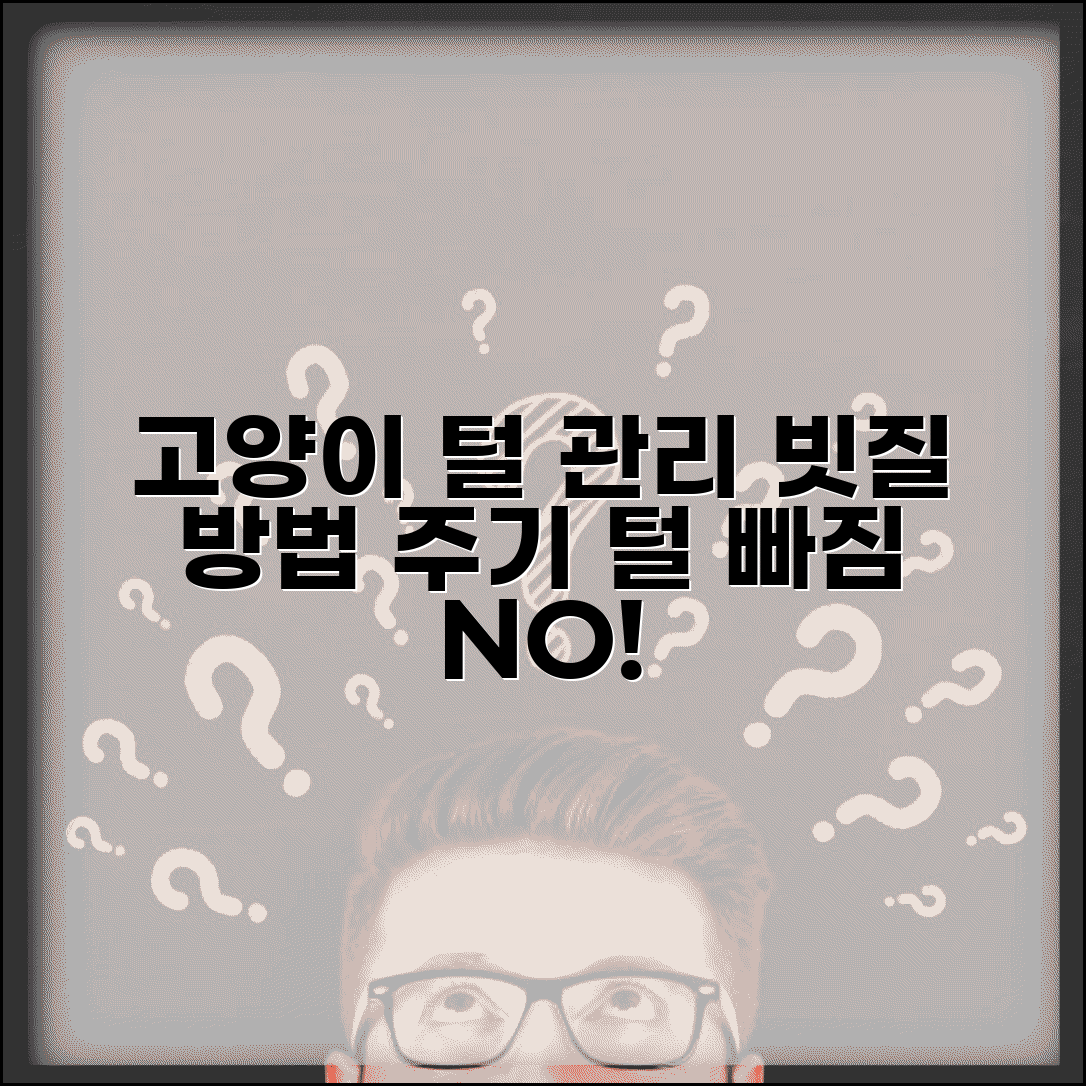 고양이 털 빠짐 관리 빗질 방법 주기 | 고양이 털 관리 브러쉬 추천