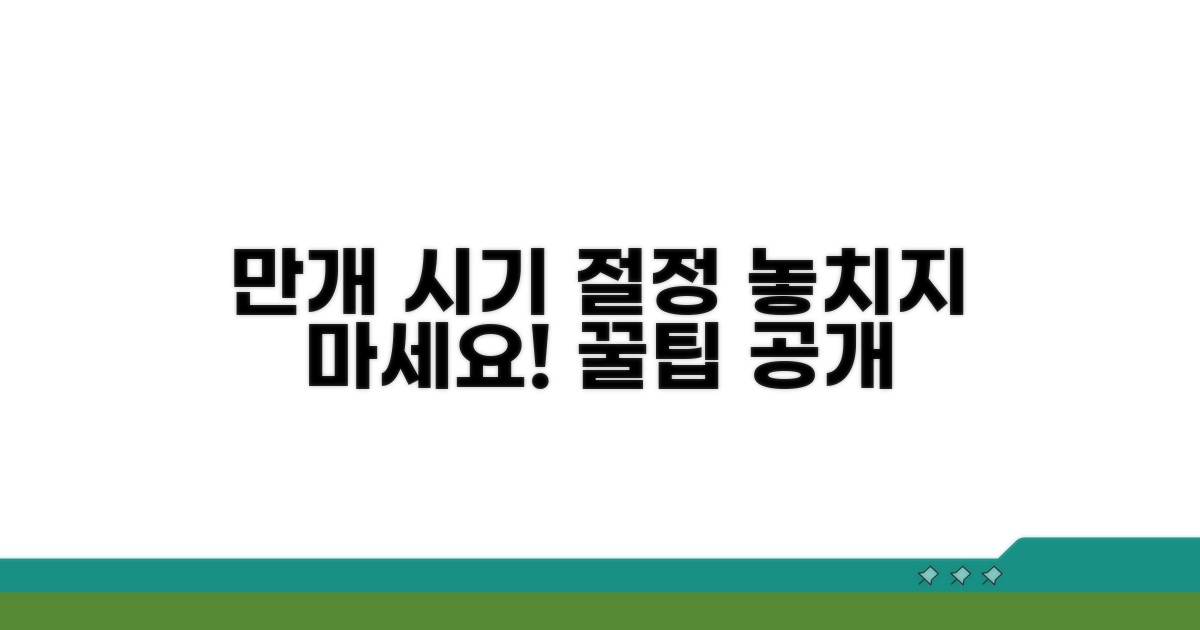 만개 시기와 절정 기간 안내