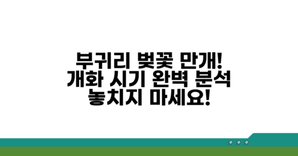 부귀리 벚꽃 개화 시기 총정리