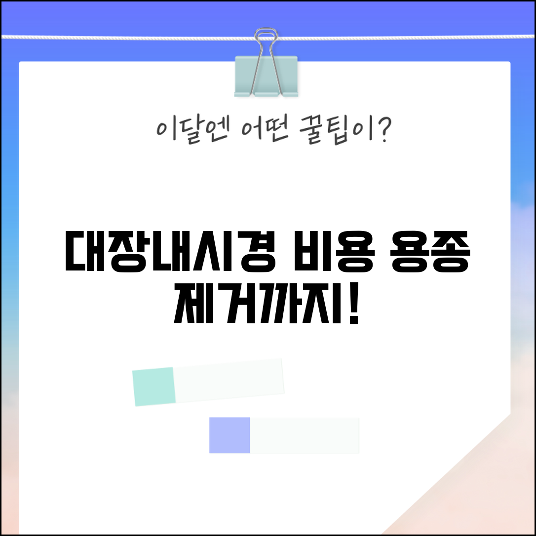 내과 대장내시경 비용 용종 | 대장내시경 검사 비용과 용종 제거료